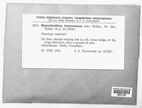 Image Associated With the Occurence